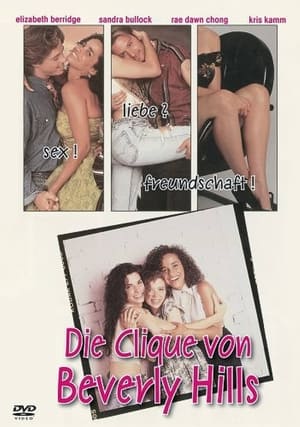 Poster Die Clique von Beverly Hills 1993