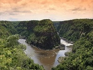 Zambezi: River of Life