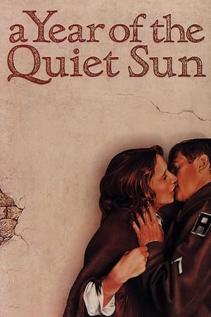 Poster A Year of the Quiet Sun 1984