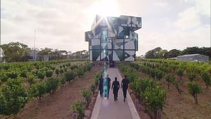 MasterChef Australia Pressure Test - D'Arenberg Cube