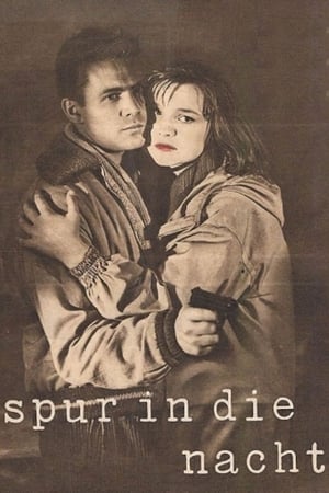 Spur in die Nacht poster