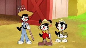 Animaniacs (2020) Temporada 1 Capitulo 8