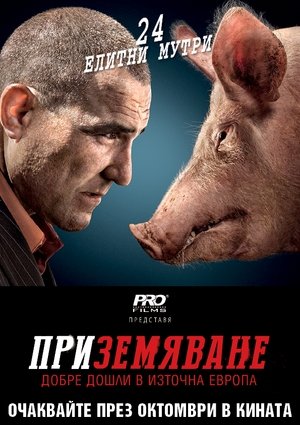 <Images posters