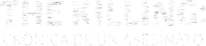The Killing: Crónica de un asesinato