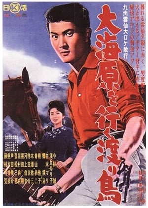 Poster Rambling in the Sea (1961)