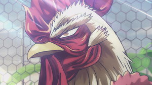 Rooster Fighter
