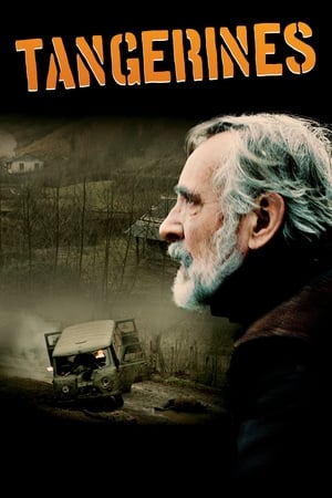 Tangerines (2013) is one of the best movies like The Beast Of War (1988)