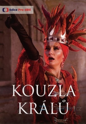 Poster Kouzla králů 2008