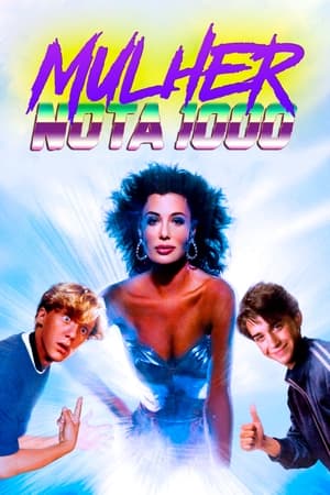 Poster Que Loucura de Mulher 1985