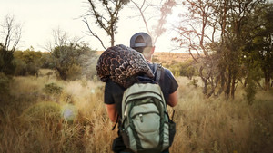 Pangolin Kulu s Journey (2025) การเดินทางของคูลู
