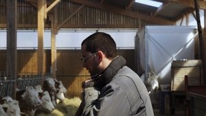 Cyrille, agriculteur, 30 ans, 20 vaches, du lait, du beurre, des dettes film complet