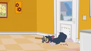 The Tom and Jerry Show Entering and Breaking