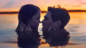 Geçen Yaz (2019) Türkçe Dublaj izle