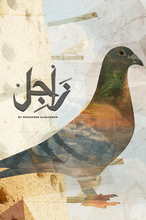 زاجل