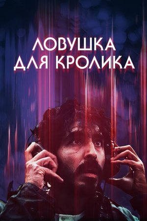 Ловушка для кролика (2025)
