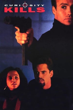 Poster Curiosità fatale 1990