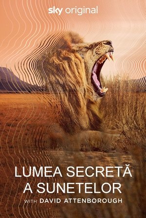 Image Lumea secretă a sunetelor cu David Attenborough
