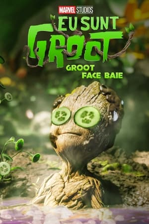 Poster Groot face baie 2022