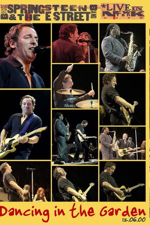 Bruce Springsteen - New York June 2000