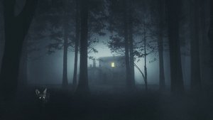 Shelby Oaks (2025) เชลบี้ โอคส์ คลิปเฮี้ยน คดีหลอน