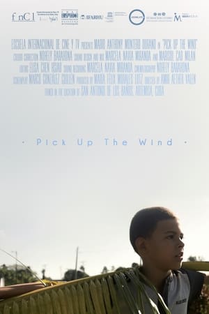 Poster Pick up the Wind (2021)