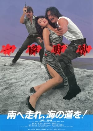 Poster 南へ走れ、海の道を！ 1986