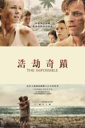 海啸奇迹 (2012)