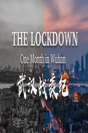 Poster The Lockdown: One Month in Wuhan (2020)