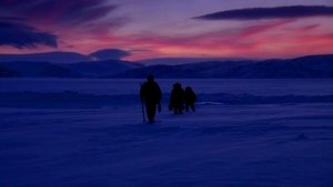 Image Arctic: Life in the Deep Freeze