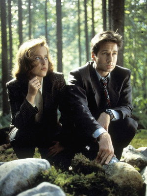 X-Files : Aux frontières du réel - Saison 1 - poster n°6