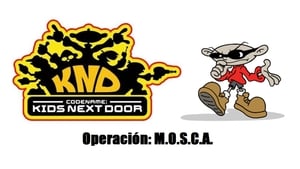 Codename: Kids Next Door: 1×16