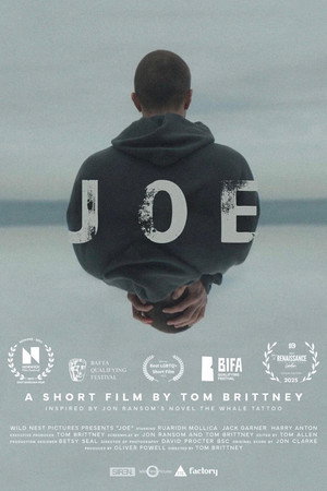 Joe 3