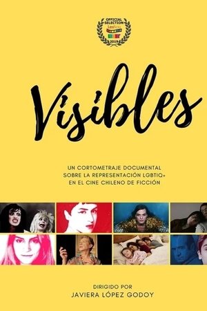 Nonton film We Are Visible (2019) terbaru sub indo Nonton film We Are Visible (2019) terbaru sub indo