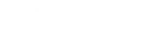 Fastest Car — Logos 2