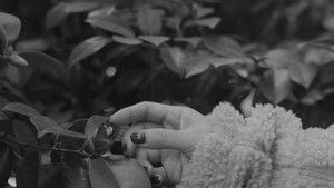 Elements of Hopelessness