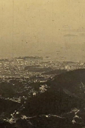 The Capital of Brazil