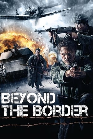 Image Beyond the Border