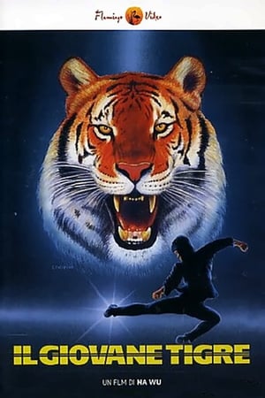 Image Il giovane Tigre