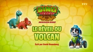 Paw Patrol Helfer auf vier Pfoten: 7×12