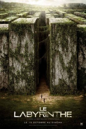 poster The Maze Runner