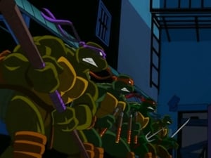 Teenage Mutant Ninja Turtles Things Change
