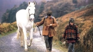 Le Cheval venu de la mer film complet