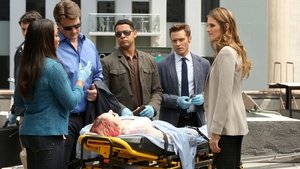 Castle Temporada 5 Capitulo 24