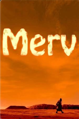 Poster Merv (2013)