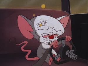 Pinky & der Brain: 4×4