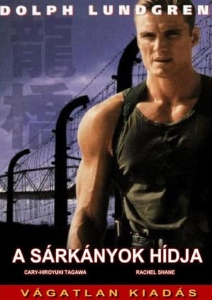Poster Sárkányok harca 1999