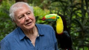 poster Attenborough's Life in Colour