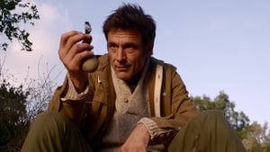 Film Online: Omul de pe Pamant (2007), film online subtitrat în Română