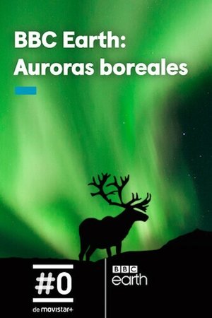 Nonton film Gordon's Northern Lights Adventure (2017) terbaru sub indo Nonton film Gordon's Northern Lights Adventure (2017) terbaru sub indo
