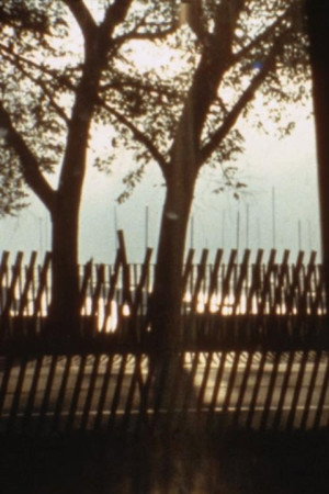 Pope Visits Chicagoland (1979)